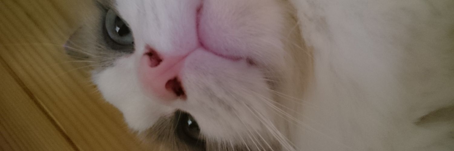fumity623's profile banner image