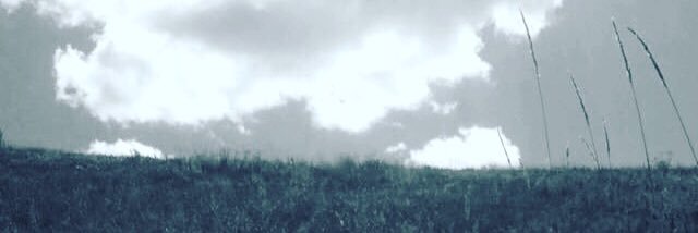 MaskoFitness's profile banner image