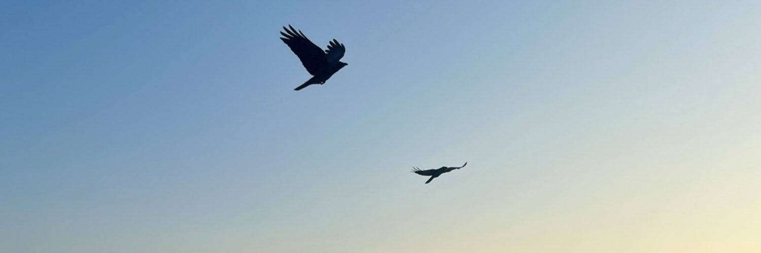 Karoline Haarder banner