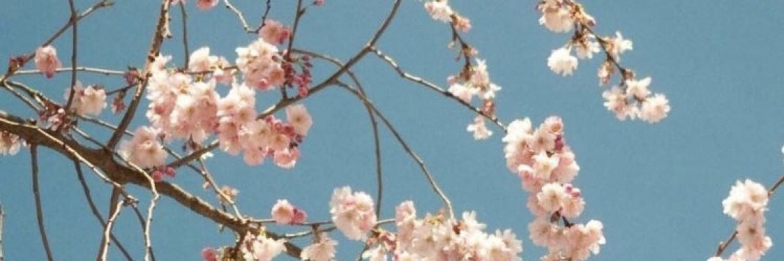 taarcaa's profile banner image