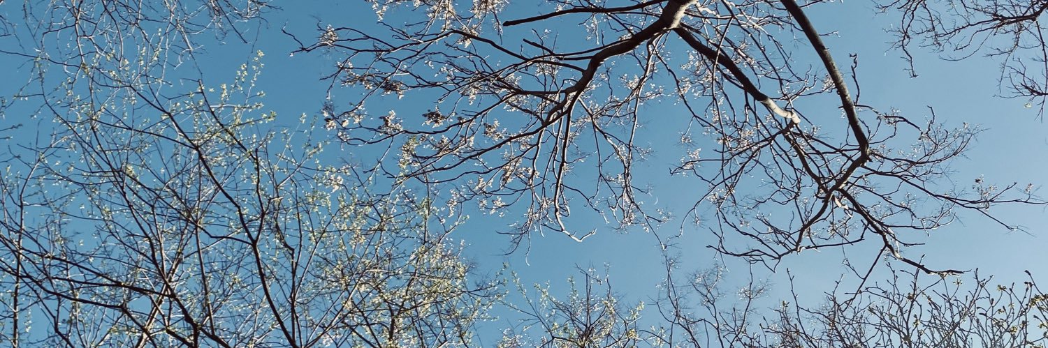 sara__bimo's profile banner image