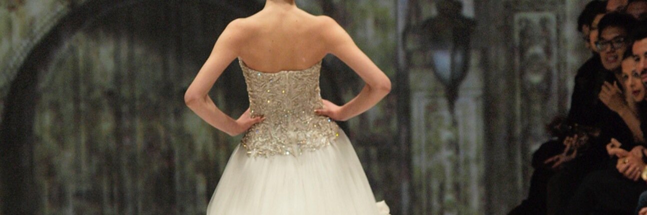 Steve B | YYZEvents banner