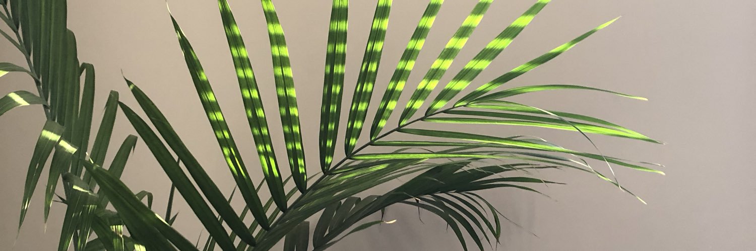 Tahw_'s profile banner image