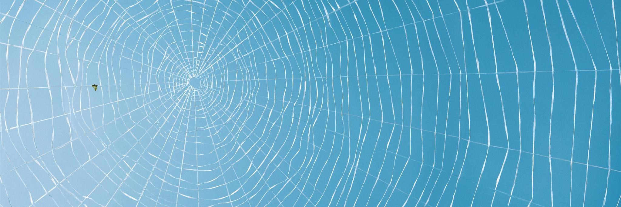 Astraspider's profile banner image