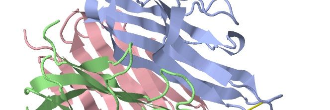 isaac_vock's profile banner image