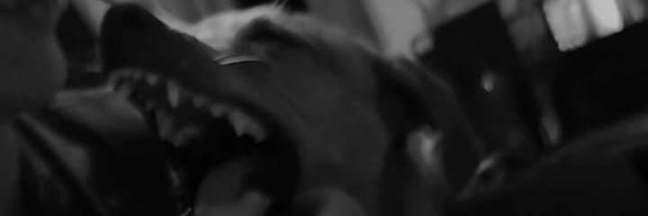 gabxwho's profile banner image