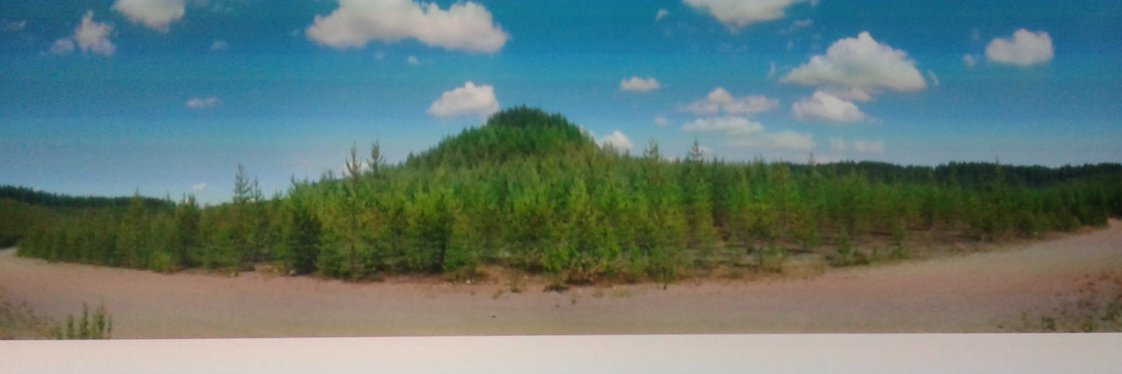 Thomas Olsson banner