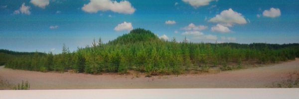 tholsson Profile Banner