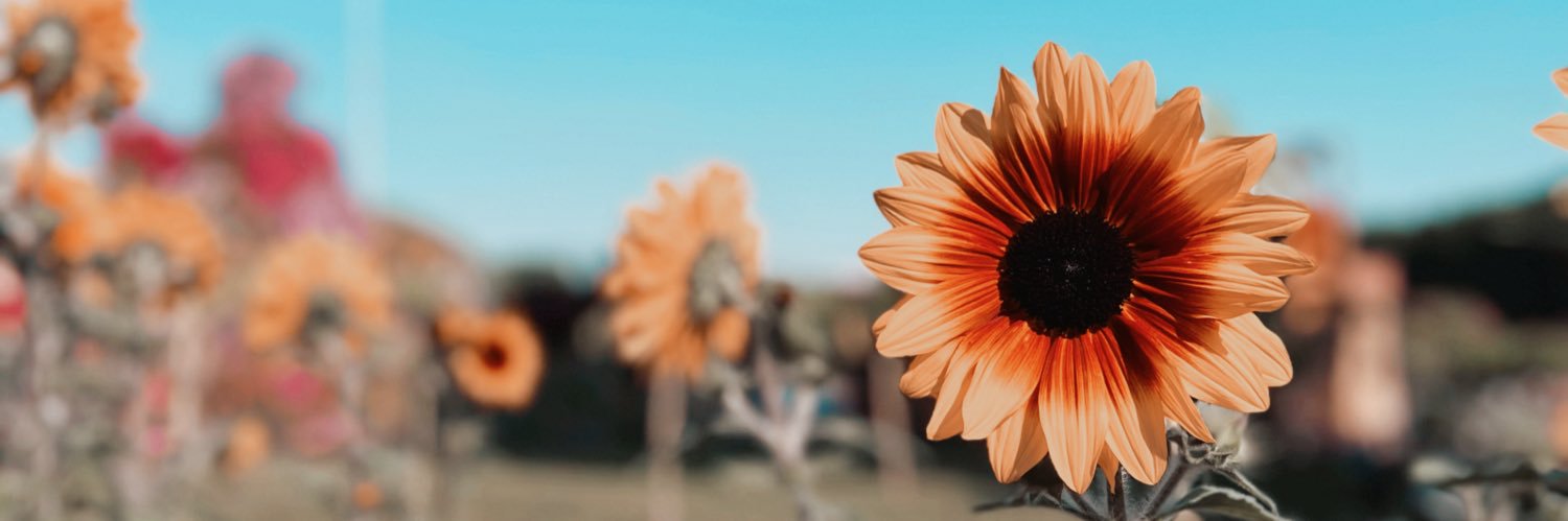 HasosKk156's profile banner image