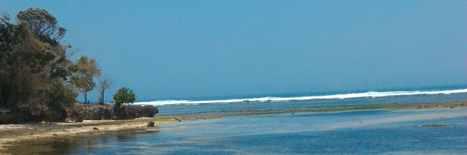 PapinkR's profile banner image