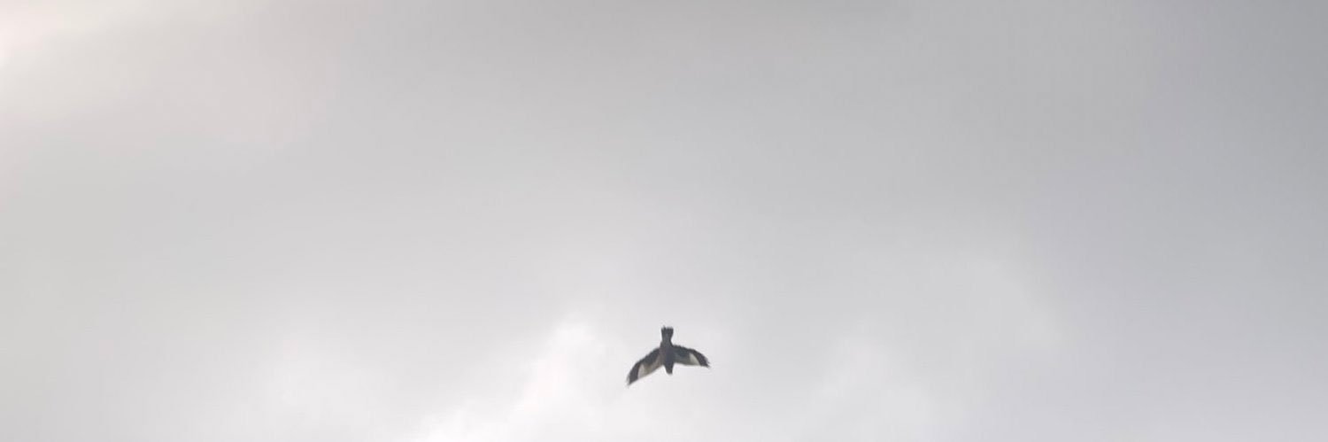 مُنــى banner