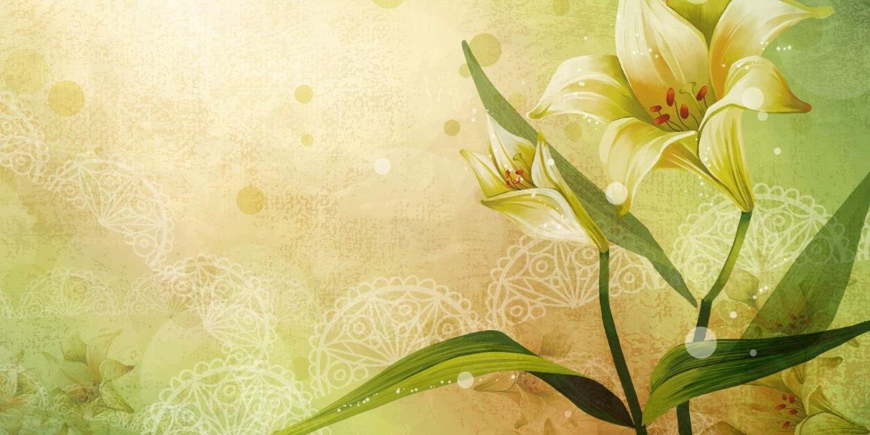 KoraAberman's profile banner image