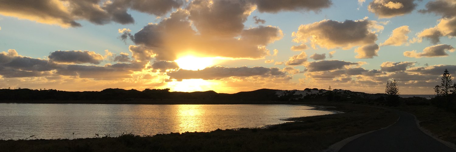 Victoria Vella banner