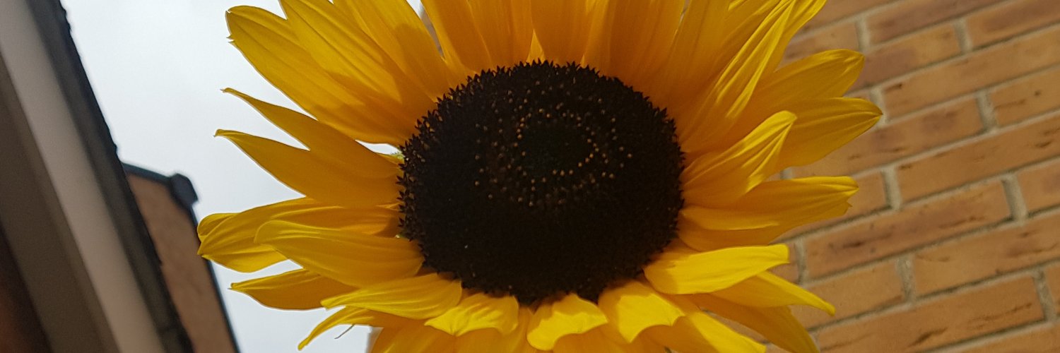 EvansMC13's profile banner image