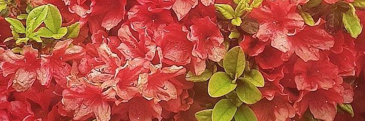 RNas104's profile banner image