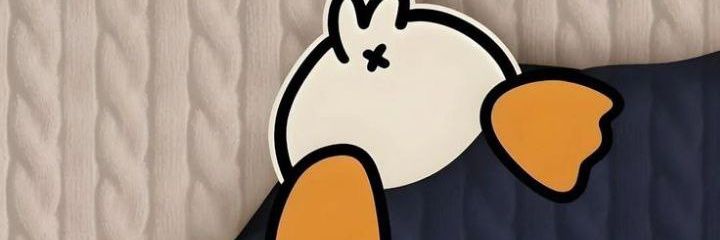 souxcy's profile banner image