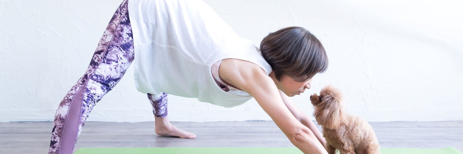 dogyoga's profile banner image