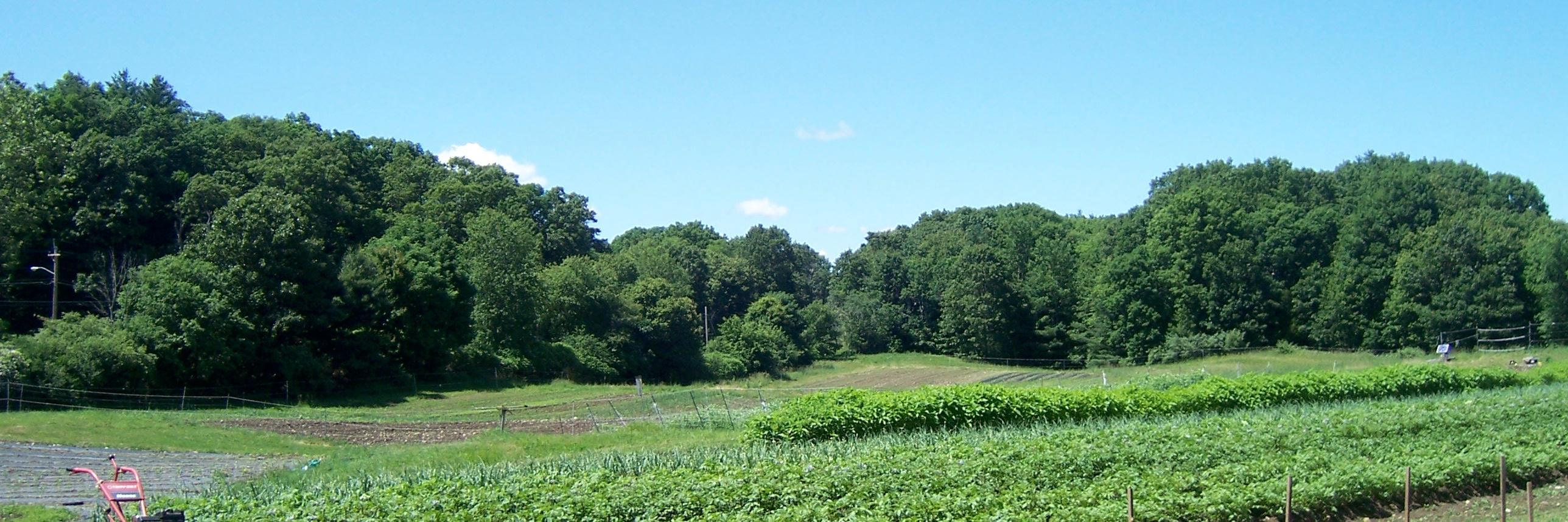 MDfoodmap's profile banner image