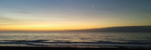 Chivez Profile Banner