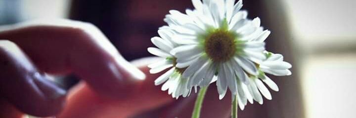 Ornella_Careddu's profile banner image
