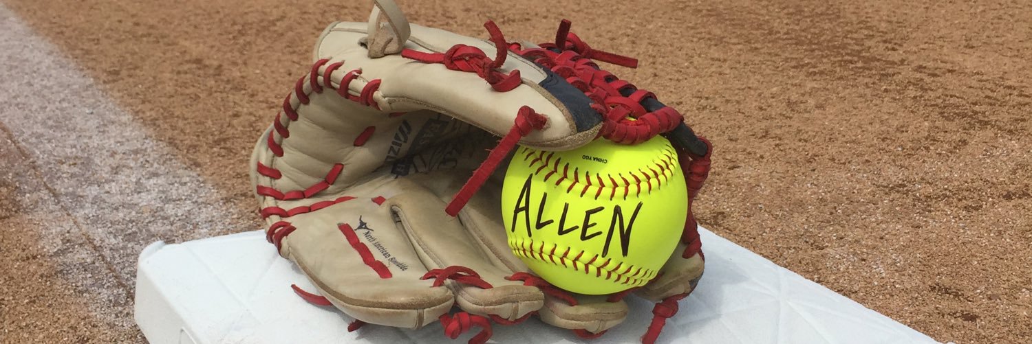 AESoftball's profile banner image