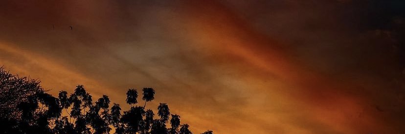 KinsiAli's profile banner image