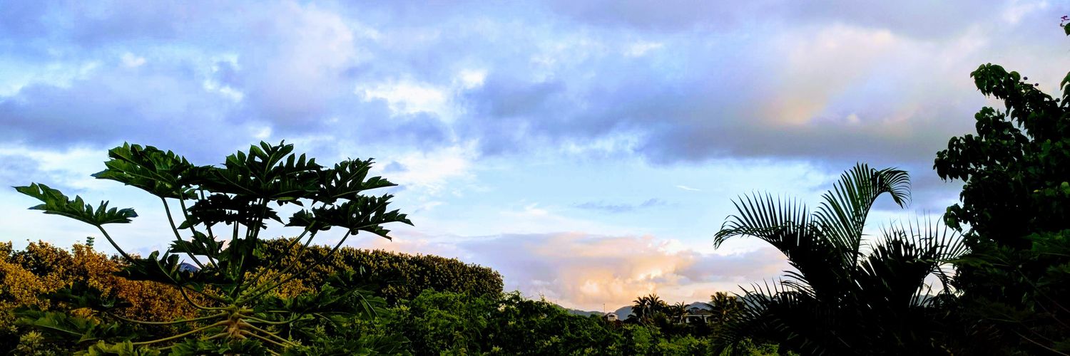 galenbancroft's profile banner image