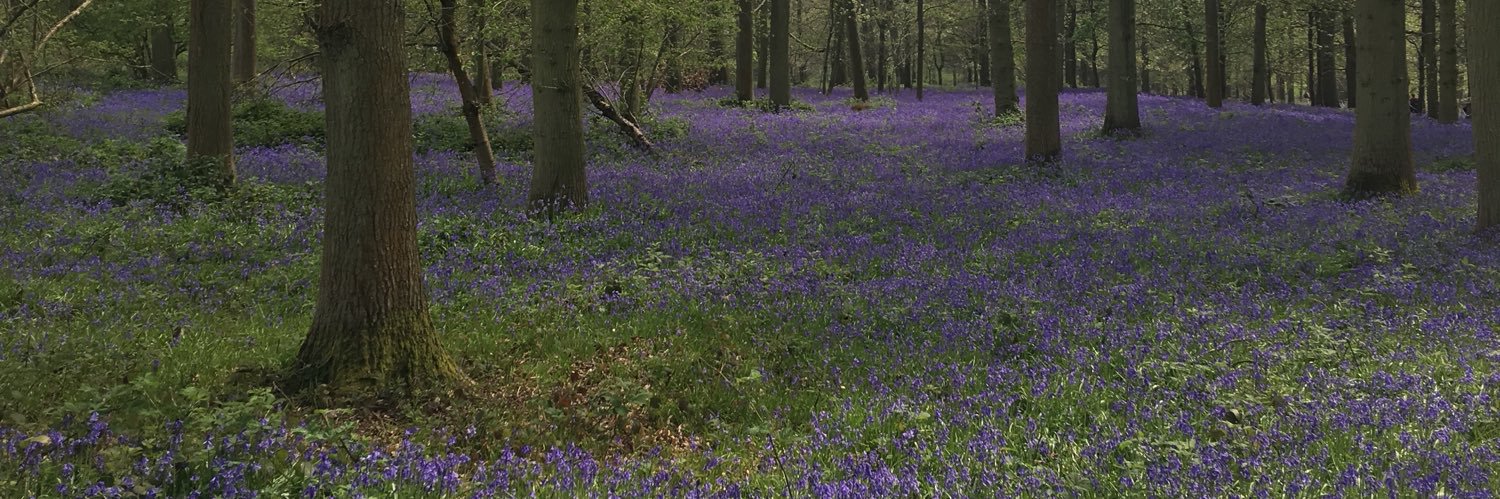IbbyIsobel's profile banner image