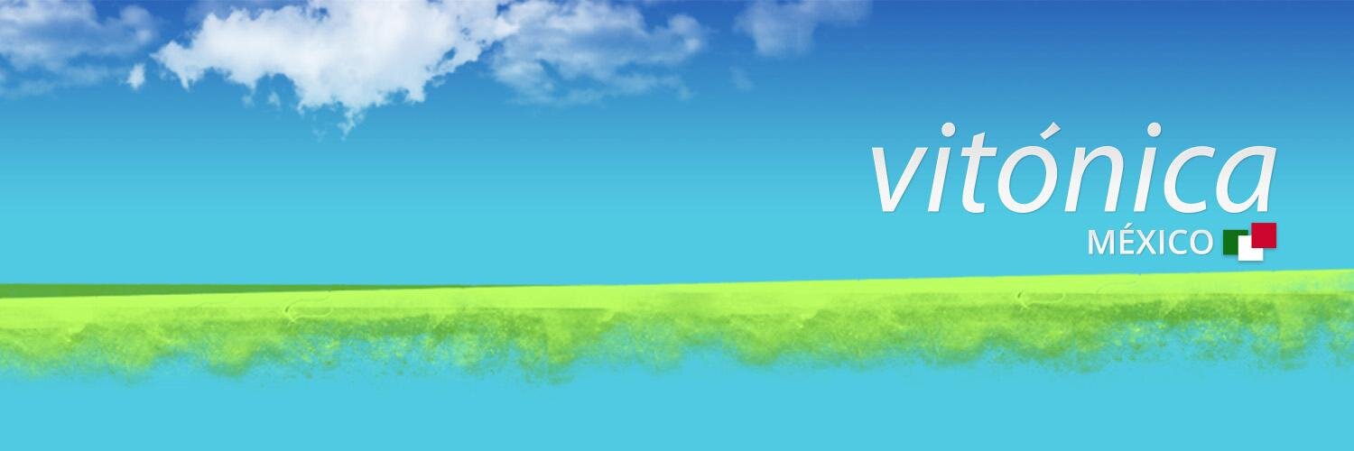 VitonicaMex's profile banner image