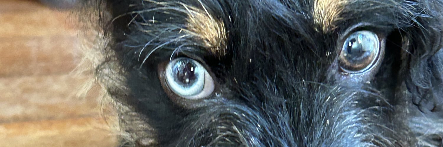 edgarmarquesm's profile banner image