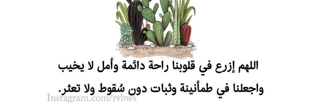 fatimaalshihre's profile banner image