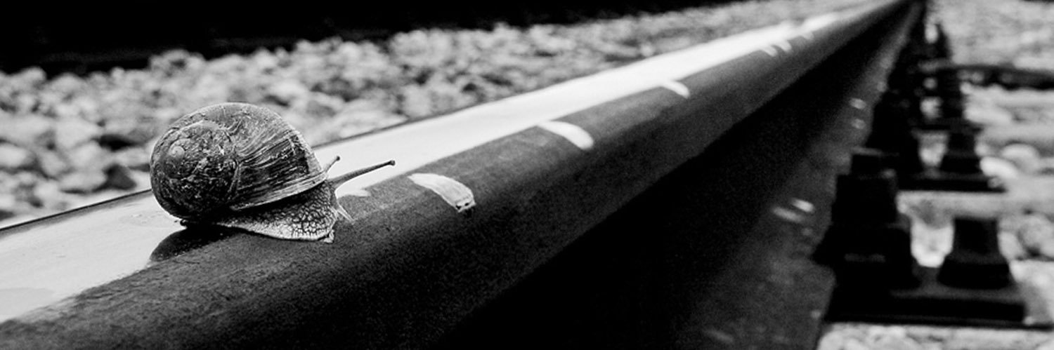 smolpress's profile banner image