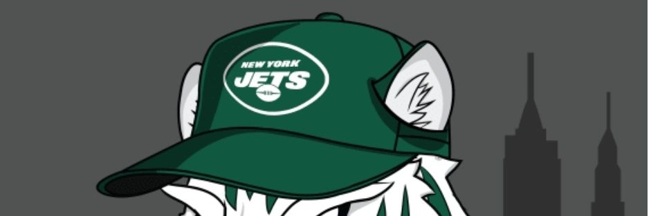 realjetsfans banner