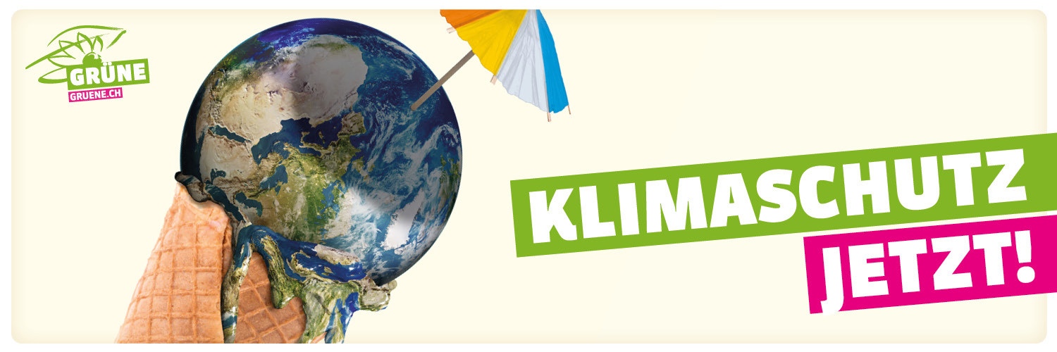 Alternative - die Grünen Zug banner