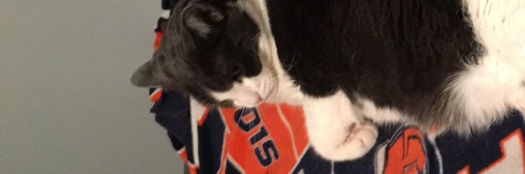 aliciarose97's profile banner image
