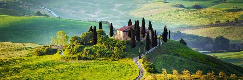 rolandosanz's profile banner image