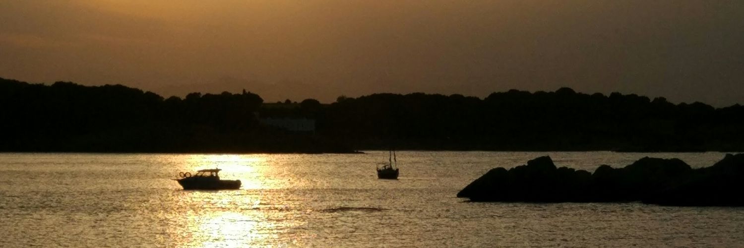 Toni Sanchez² banner