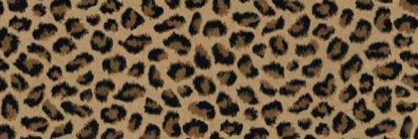 snowflakebri89 Profile Banner