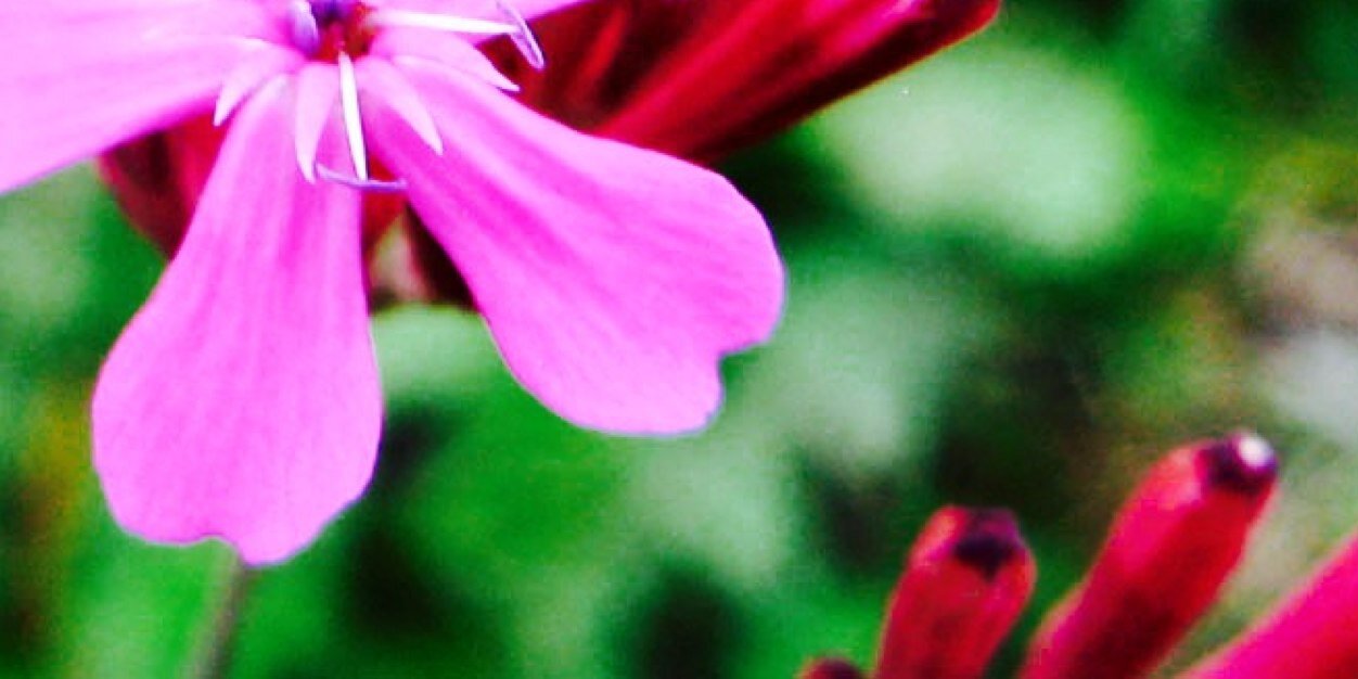 J_Lxx's profile banner image
