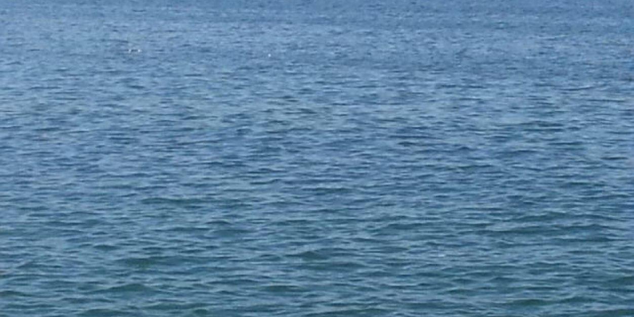 fasel166's profile banner image