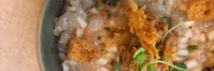 Saó by Vicenç Fajardo banner