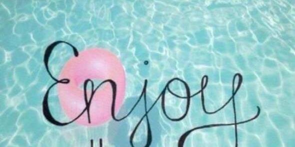 zeltzin servin banner