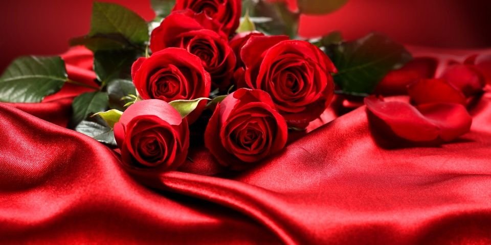 SakinHan's profile banner image