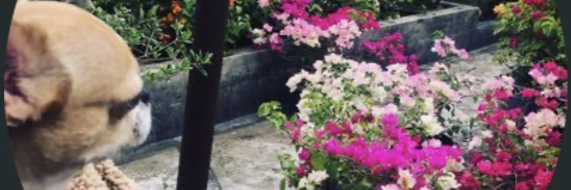 TAlkhail's profile banner image
