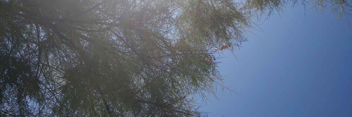 borjahoz's profile banner image