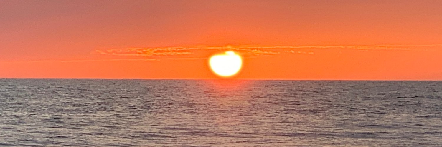 VickiFerrara's profile banner image