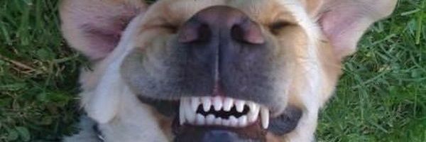 marekapa's profile banner image