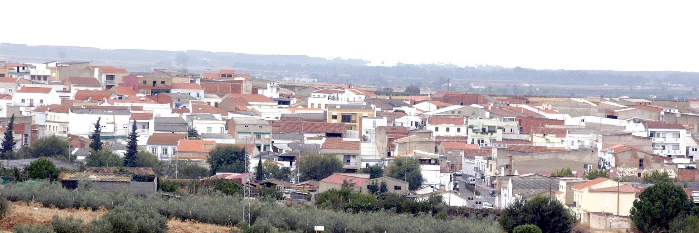 HOY Calamonte banner