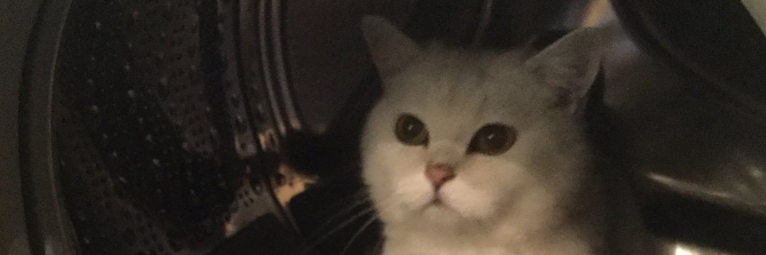 feraysozen's profile banner image