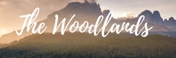 SabinaFAuthor's profile banner image